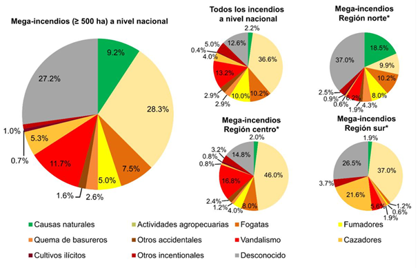 Causas de los megaincendios en M&eacute;xico (por n&uacute;mero de incendios), 2010-2019.