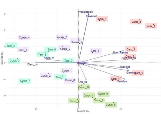 Análisis de componentes principales.