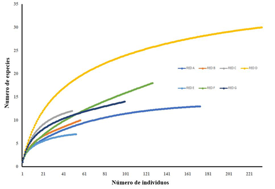 Curva de rarefacción de las redes en las que se enmarcan los 30 sitios analizados.