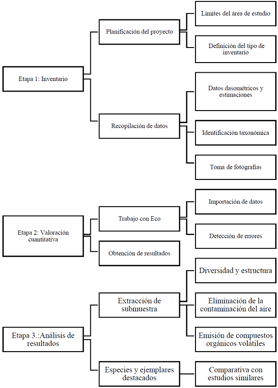 Metodolog&iacute;a, etapas y fases para la investigaci&oacute;n.