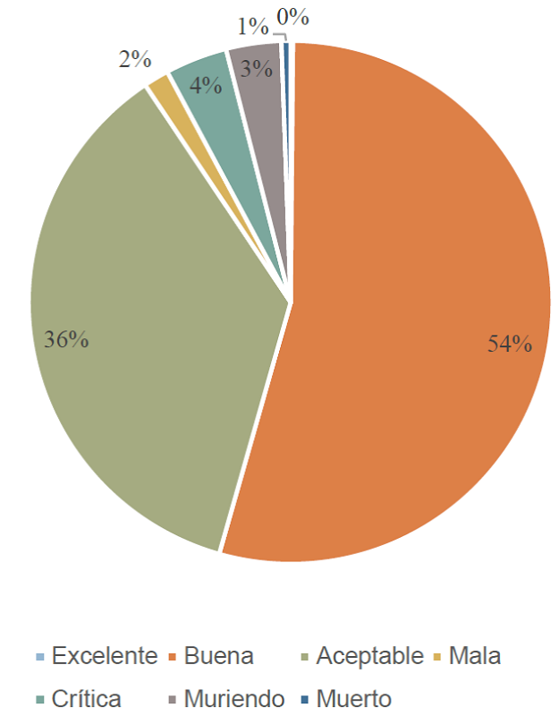 Condici&oacute;n del arbolado de la submuestra en la colonia Las Palmas, Colima, M&eacute;xico.