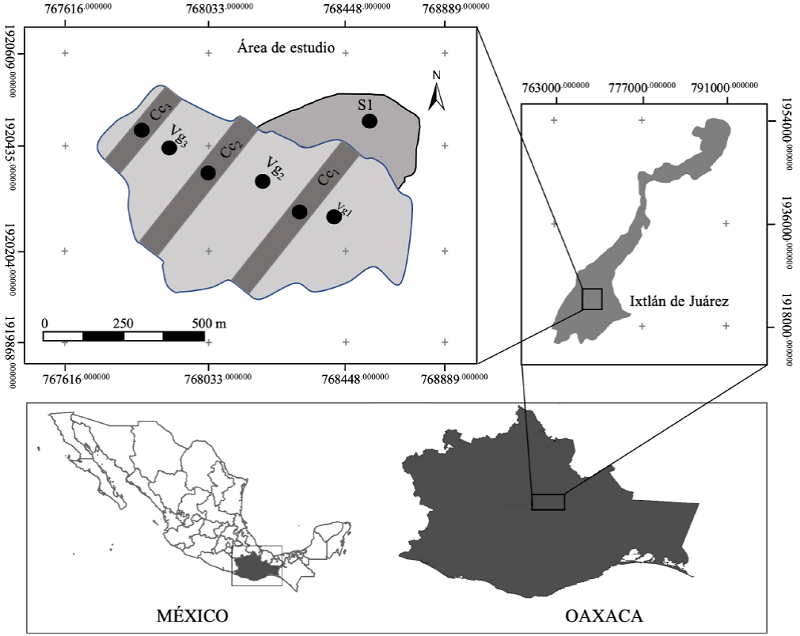 Ubicaci&oacute;n geogr&aacute;fica de Ixtl&aacute;n de Ju&aacute;rez y del &aacute;rea de estudio.
