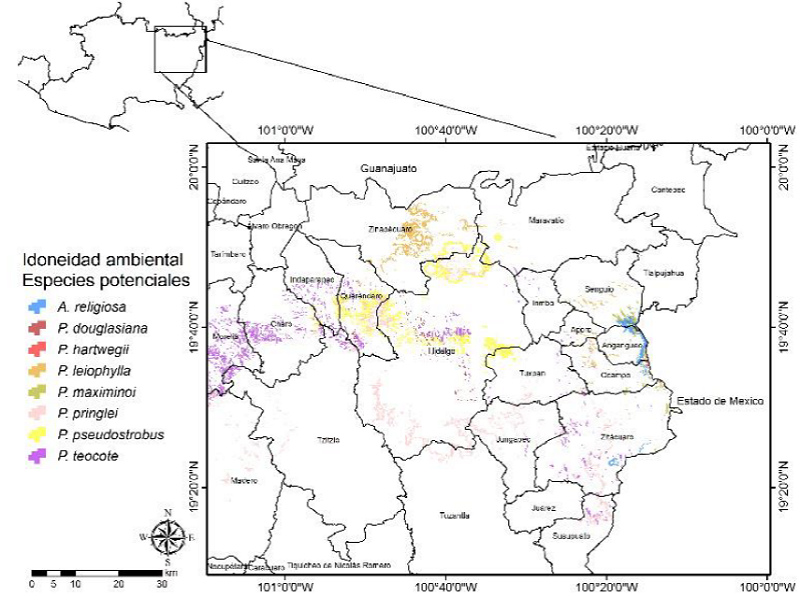 Distribuci&oacute;n espacial de la idoneidad ambiental potencial para la toma de datos den-drocronol&oacute;gicos de A. religiosa, P. douglasiana, P. hartwegii, P. leiophylla, P. maximinoi, P. pringlei, P. pseudostrobus y P. teocote en la zona oriente de Michoac&aacute;n.