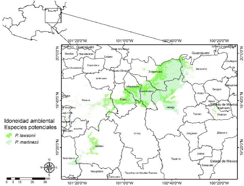 Distribuci&oacute;n espacial de la idoneidad ambiental potencial para la toma de datos dendrocronol&oacute;gicos de P. lawsonii y P. martinezii en la zona oriente de Michoac&aacute;n.