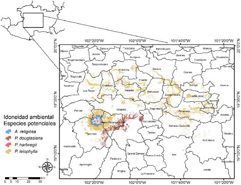 Distribuci&oacute;n espacial de la idoneidad ambiental potencial para la toma de datos dendrocronol&oacute;gicos de A. religiosa, P. douglasiana, P. hartwegii y P. leiophylla en la zona centro de Michoac&aacute;n.