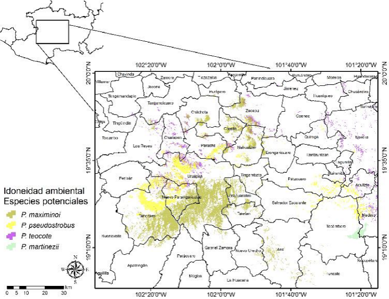 Distribuci&oacute;n espacial de la idoneidad ambiental potencial para la toma de datos dendrocronol&oacute;gicos de P. maximinoi, P. pseudostrobus, P. teocote y P. martinezii en la zona centro de Michoac&aacute;n.