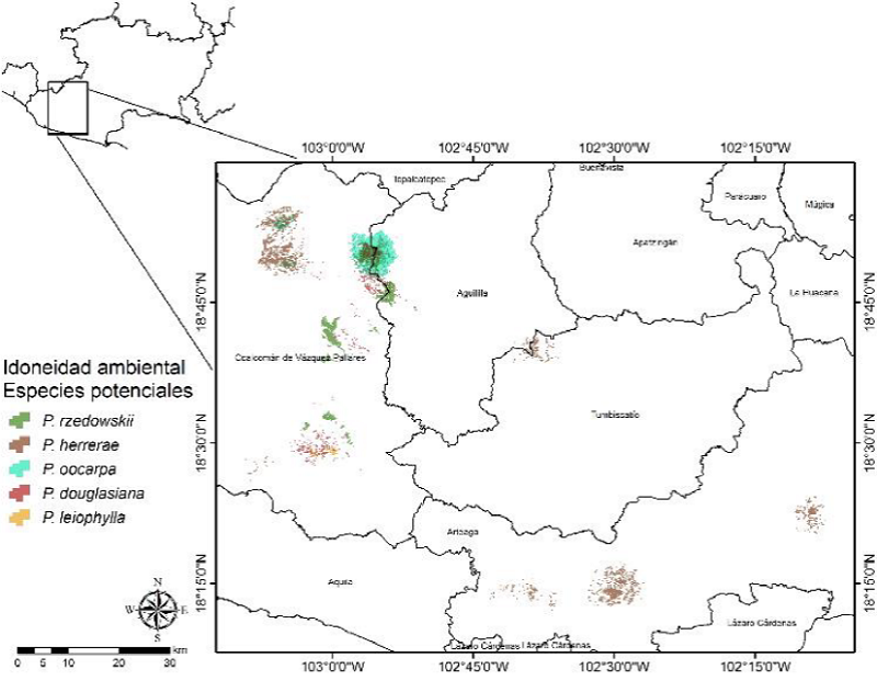 Distribuci&oacute;n espacial de la idoneidad ambiental potencial para la toma de datos dendrocronol&oacute;gicos de P. rzedowskii, P. herrerae, P. oocarpa, P. douglasiana y P. leiophylla en la zona occidente de Michoac&aacute;n.