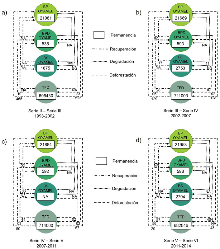 Diagrama de transición de los bosques de oyamel para los períodos comprendidos en las series cartográficas de Inegi.