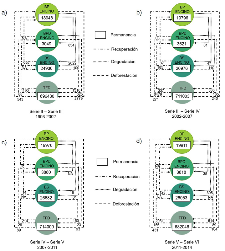 Diagrama de transición de los bosques de encino para los períodos comprendidos en las series cartográficas de Inegi.