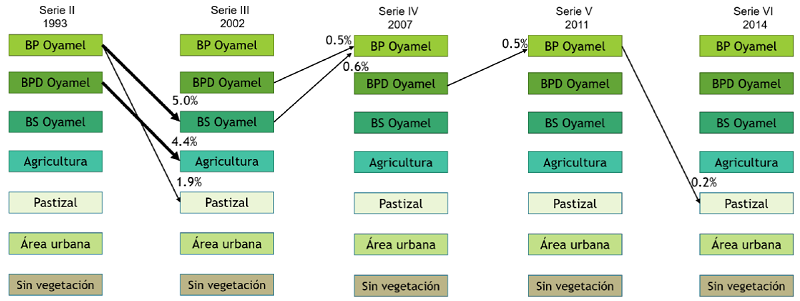 Trayectorias y magnitud del cambio de cobertura del bosque de la Cuenca de México.