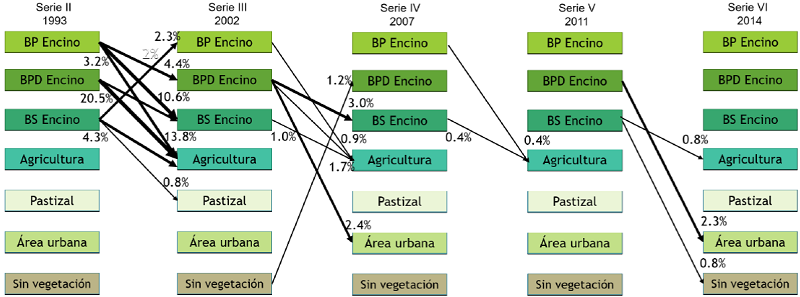 Trayectorias y magnitud del cambio de cobertura del bosque de la Cuenca de México.