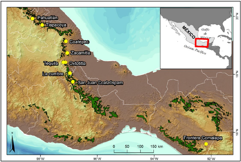 Mapa con ubicaci&oacute;n espacial de las sedes de los talleres: La tierra, el caf&eacute; y nosotros.