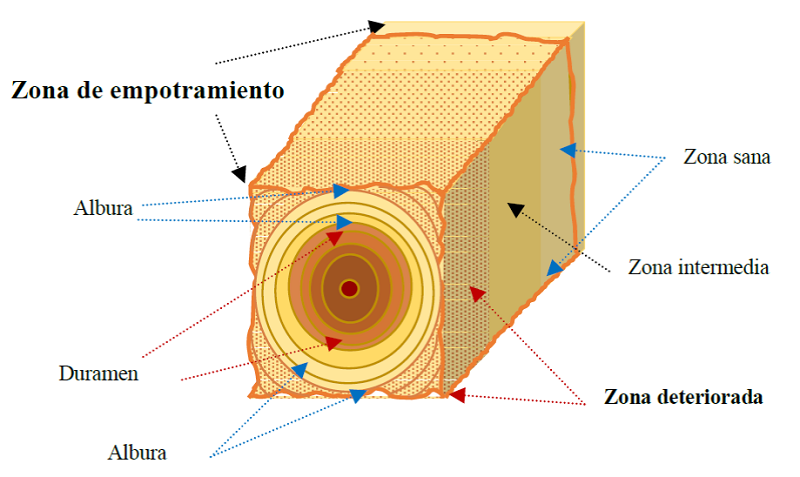 Diagrama de las zonas de extracci&oacute;n del material para pruebas qu&iacute;micas.