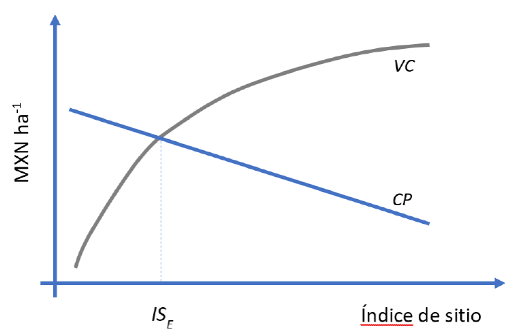 Relación entre costos de plantación y valor de la cosecha dejada como árbol semillero.