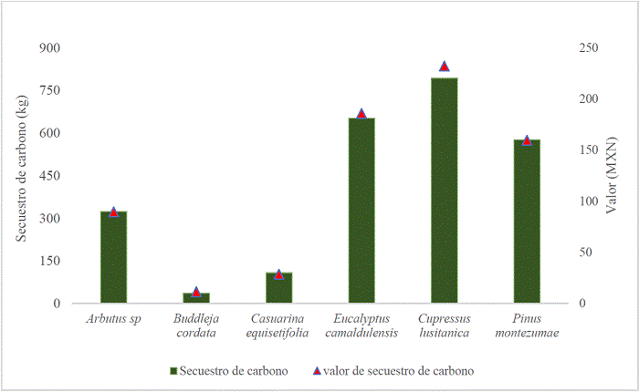Secuestro bruto y valor de carbono por especie presente en cuatro sistemas periurbanos en Tequexquináhuac, Texcoco de Mora, Estado de México.