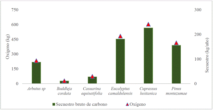 Producción de oxígeno y secuestro de carbono por especie presente en cuatro sistemas periurbanos en Tequexquináhuac, Texcoco de Mora, Estado de México.