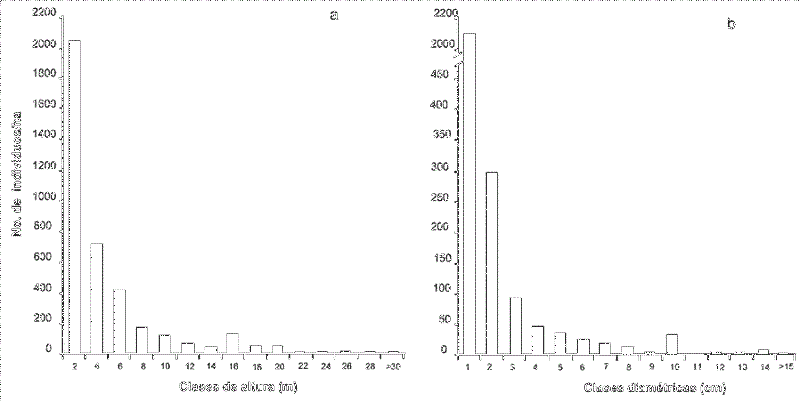 Distribución de frecuencia de las especies leñosas del bosque de oyamel del Parque Santuario de Agua Presa Corral de Piedra, Estado de México, México. a) Distribución de alturas (2 m de diferencia entre clases). b) Distribución de diámetros (10 cm de diferencia entre clases). 