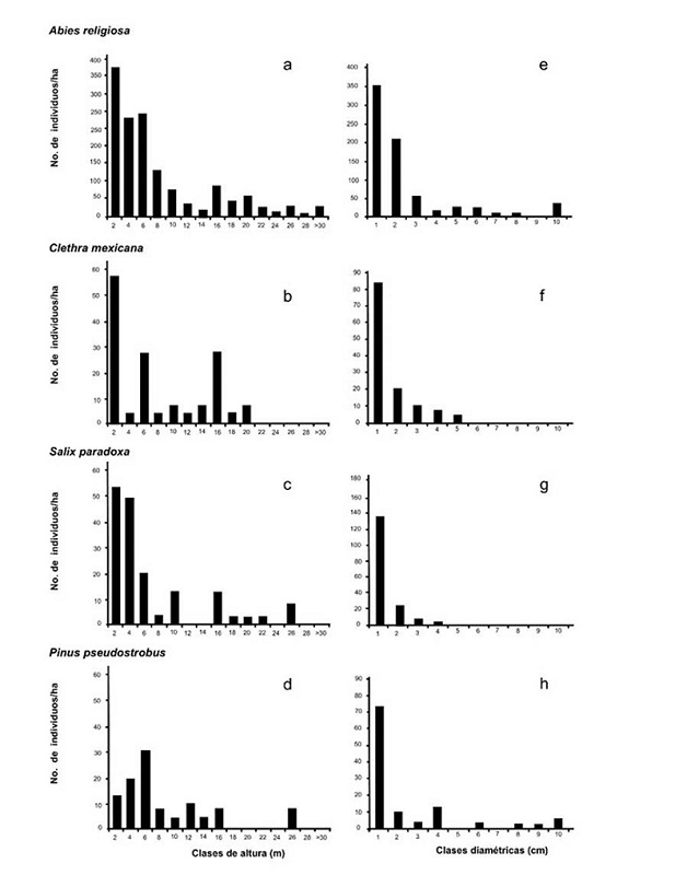 Distribución de frecuencia de especies de árboles seleccionados del bosque de oyamel del Parque Santuario de Agua Presa Corral de Piedra, Estado de México, México. a - d) distribución de alturas. e - h) distribución de diámetros. 