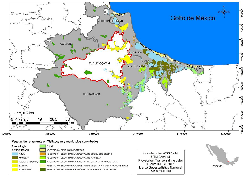 Ubicaci&oacute;n del municipio de Tlalixcoyan, Veracruz y los principales relictos de vegetaci&oacute;n de la regi&oacute;n central del estado de Veracruz. 