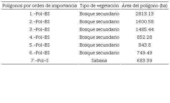 Zonas potenciales de conservaci&oacute;n por orden de importancia, tipo de vegetaci&oacute;n y &aacute;rea del pol&iacute;gono. 