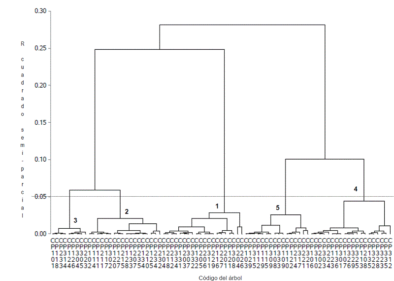 Dendrograma de la plantaci&oacute;n juvenil de 83 individuos de Cavanillesia platanifolia (Zona Bananera, Magdalena), a partir de 19 variables cuantitativas y cualitativas de &aacute;rbol y hoja. 
