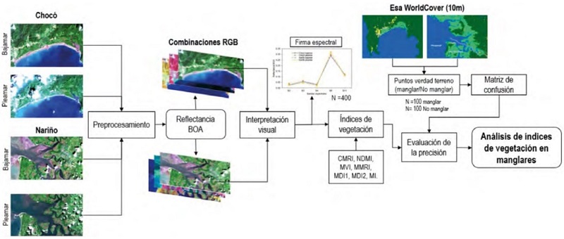 Flujograma para el an&aacute;lisis de IV en manglares colombianos.