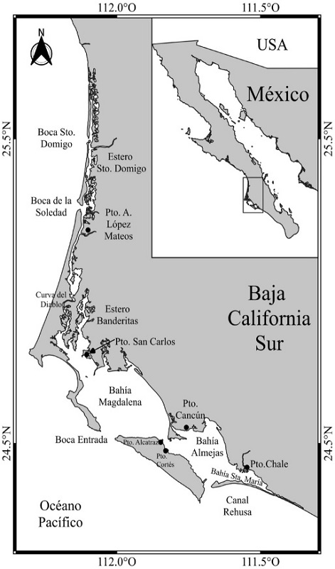 Ubicaci&oacute;n del sistema lagunar Bah&iacute;a Magdalena-Almejas, Baja California Sur (BCS), M&eacute;xico.