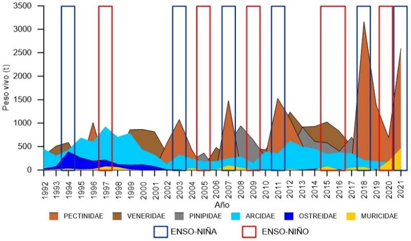 Producci&oacute;n de grupos de moluscos capturados asociados con manglares en Bah&iacute;a Magdalena-Almejas, BCS, de 1992 a 2021 y periodos de El Ni&ntilde;o y La Ni&ntilde;a.
