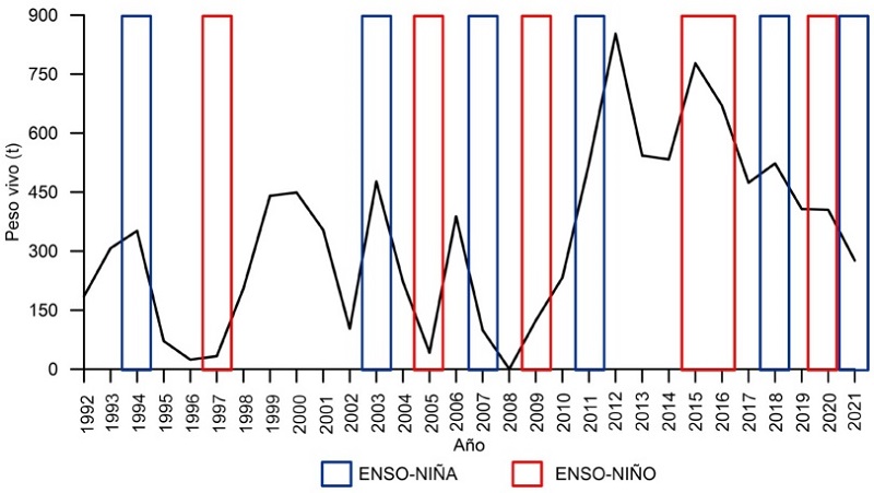 Producci&oacute;n de la almeja ro&ntilde;osa capturada en bancos asociados con los manglares en Bah&iacute;a Magdalena-Almejas, BCS, de 1992 a 2021 y periodos de El Ni&ntilde;o y La Ni&ntilde;a.