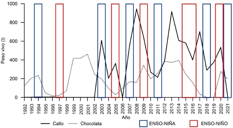 Producci&oacute;n de almeja chocolata y callos de hacha en bancos asociados con manglares en Bah&iacute;a Magdalena-Almejas, BCS, de 1992 a 2021 y periodos de El Ni&ntilde;o y La Ni&ntilde;a.