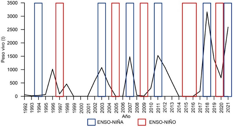 Producci&oacute;n de la almeja catarina (Argopecten ventricosus) capturados en los bancos asociados con los manglares en el sistema lagunar bah&iacute;a Magdalena-Almejas, BCS, de 1992 a 2021 y periodos de El Ni&ntilde;o y La Ni&ntilde;a.