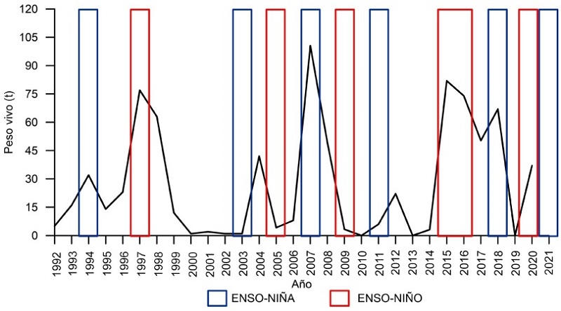 Producci&oacute;n de caracol chino en bancos asociados con manglares en Bah&iacute;a Magdalena-Almejas, BCS, de 1992 a 2021 y periodos de El Ni&ntilde;o y La Ni&ntilde;a.