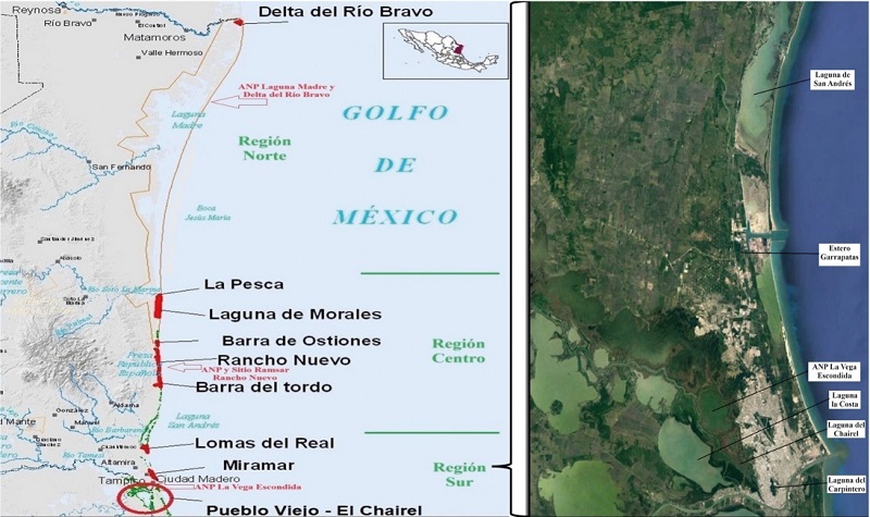 Sitios prioritarios de conservaci&oacute;n en la costa de Tamaulipas y localidades estudiadas de la regi&oacute;n sur.