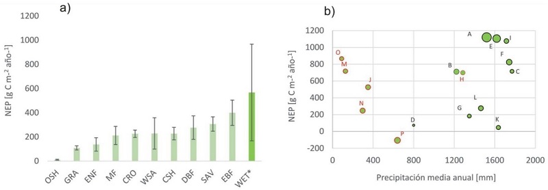 a) Promedio anual (&plusmn; desviaci&oacute;n est&aacute;ndar) de la producci&oacute;n neta del ecosistema (NEP) derivados de observaciones con la t&eacute;cnica covarianza de v&oacute;rtices (Keenan y Williams, 2018) representados por el tipo funcional de la vegetaci&oacute;n. b) Relaci&oacute;n entre NEP y precipitaci&oacute;n media anual de 15 sitios de manglar, en rojo se destacan los sitios ubicados en Latinoam&eacute;rica (todos en M&eacute;xico) y el tama&ntilde;o del c&iacute;rculo representa la altura relativa del dosel.