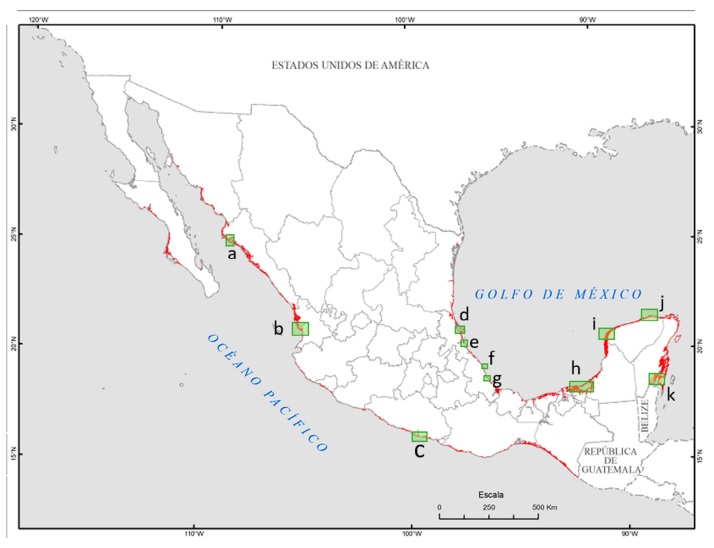 Localidades con registros de especies de ciliados en los ecosistemas de manglar de M�xico.