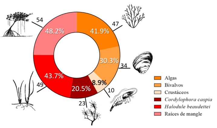 Riqueza espec�fica de ciliados simbiontes en sustratos animales y vegetales en los ecosistemas de manglar en M�xico.