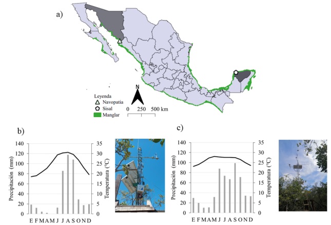 a) Distribuci�n de manglar en M�xico y ubicaci�n de los observatorios de manglar de MexFlux, b) Observatorio ecohidrol�gico de Navopatia y su climograma (Garc�a, 2004) con datos de SMN 26260-DON, SON, 1982-2022, c) Observatorio ecohidrol�gico del manglar del ejido de Sisal y su climograma con datos de SMN 31029-Sisal, Yuc, 1957-2020.