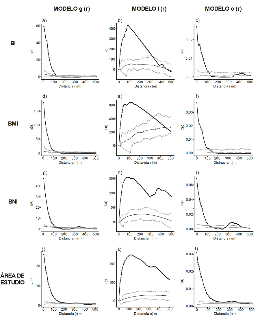 Distribuci�n espacial de individuos de P. oleifolius en tres fragmentos de bosques con diferentes tipos de intervenci�n en del �rea de estudio.