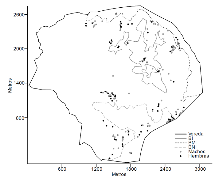 Patr�n de distribuci�n espacial de individuos de P. oleifolius para el �rea muestreada incluyendo los tres fragmentos de bosques (BI, BMI y BNI) y potreros.
