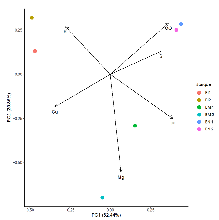 Patr�n de distribuci�n espacial de individuos de P. oleifolius para el �rea muestreada incluyendo los tres fragmentos de bosques (BI, BMI y BNI), y potreros.
