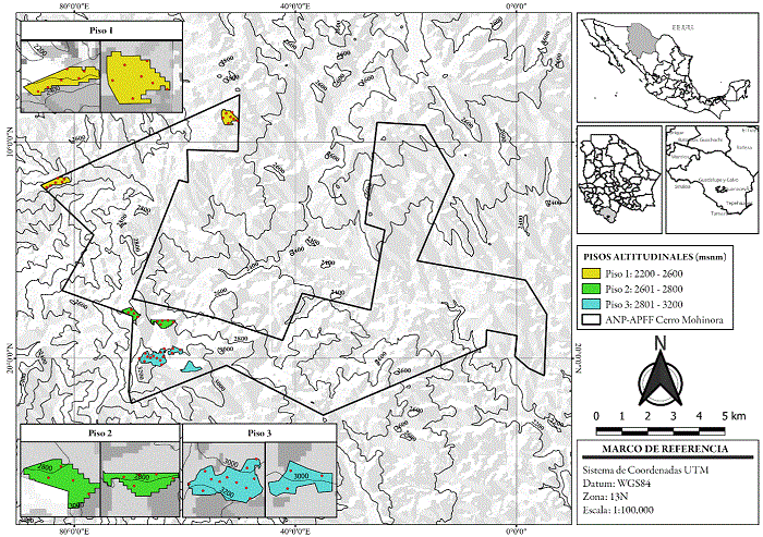 Mapa de ubicaci�n del ANP Cerro Mohinora y distribuci�n de los sitios de muestreo por piso altitudinal.