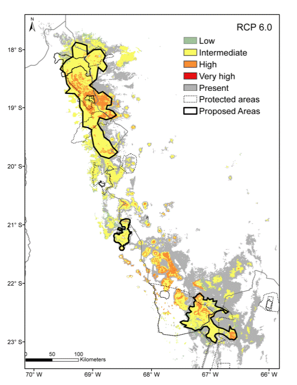 Distribucin futura de Polylepis tarapacana segn variables ambientales medias de tres modelos climticos de circulacin general en Chile, Bolivia y Argentina.