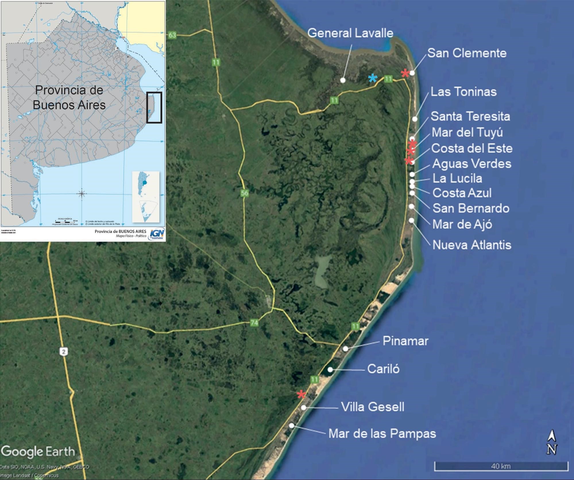 �rea de estudio en los partidos de General Lavalle y de La Costa (provincia de Buenos Aires) con detalle de reportes de Amblyomma triste de vida libre.