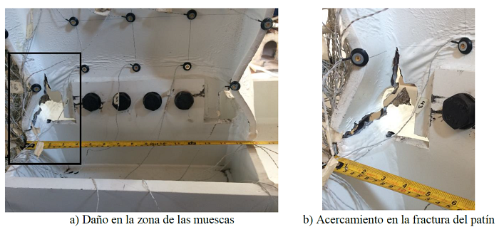 Estado final t&iacute;pico de los espec&iacute;menes CTA
