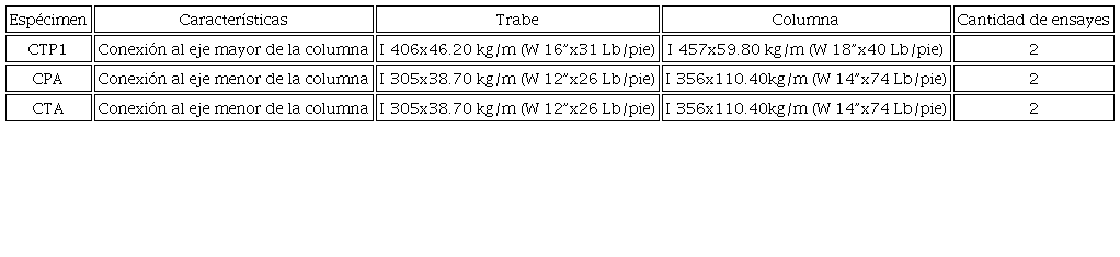 Secci&oacute;n transversal de los espec&iacute;menes