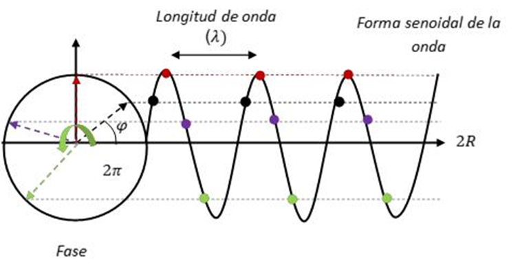 Fase de la onda. (Ferretti et al., 2007)