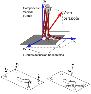 [Superior] Fuerzas de reacci&oacute;n del piso durante el apoyo normal en posici&oacute;n vertical estable; [Inferior] Posici&oacute;n de los sensores de fuerza en la plataforma y posici&oacute;n del centro de presi&oacute;n (CoP).
