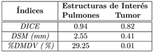 Resultados de &iacute;ndices de precisi&oacute;n para el an&aacute;lisis cuantitativo de las segmentaciones de las estructuras de inter&eacute;s.