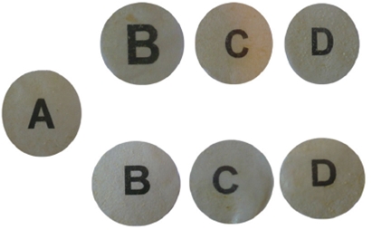 Imágenes de membranas de CH incorporadas con RMO y TTO. (A) control. Parte superior (B) RMO-0.25 %, (C) RMO-0.50 % y (D) RMO-1.00 %. Parte inferior; (B) TTO- 0.25 %, (C) TTO-0.50 %, (D) TTO-1.00 %.