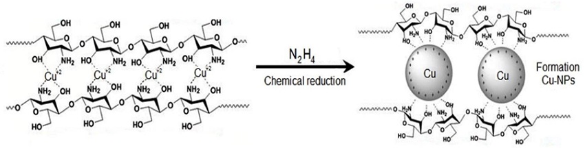 Representaci&oacute;n esquem&aacute;tica del complejo QS/nCu [14].